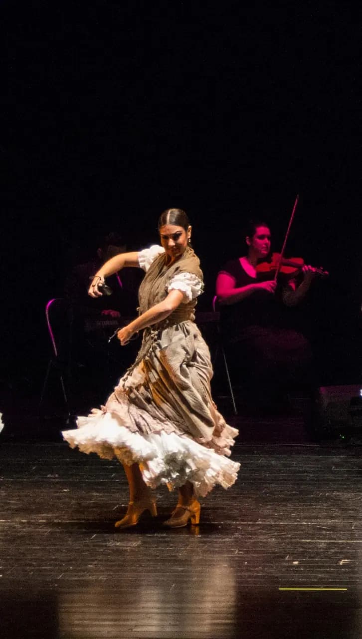 Cia. Tomás Sánchez, Ballet Flamenco Zambra "Villa Cortijo S.L."