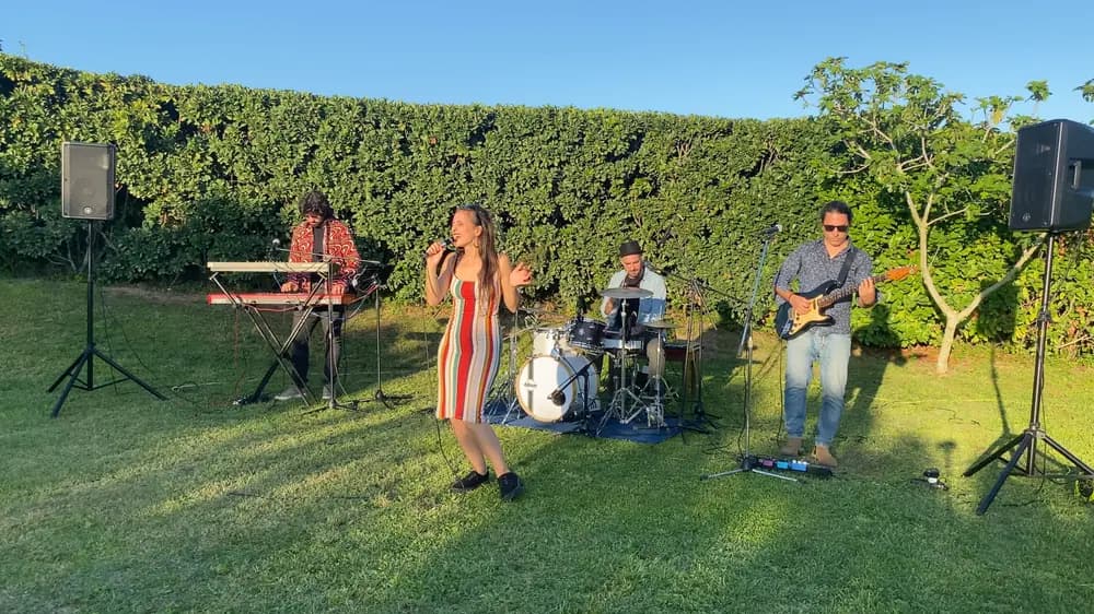 Color Vibes Band