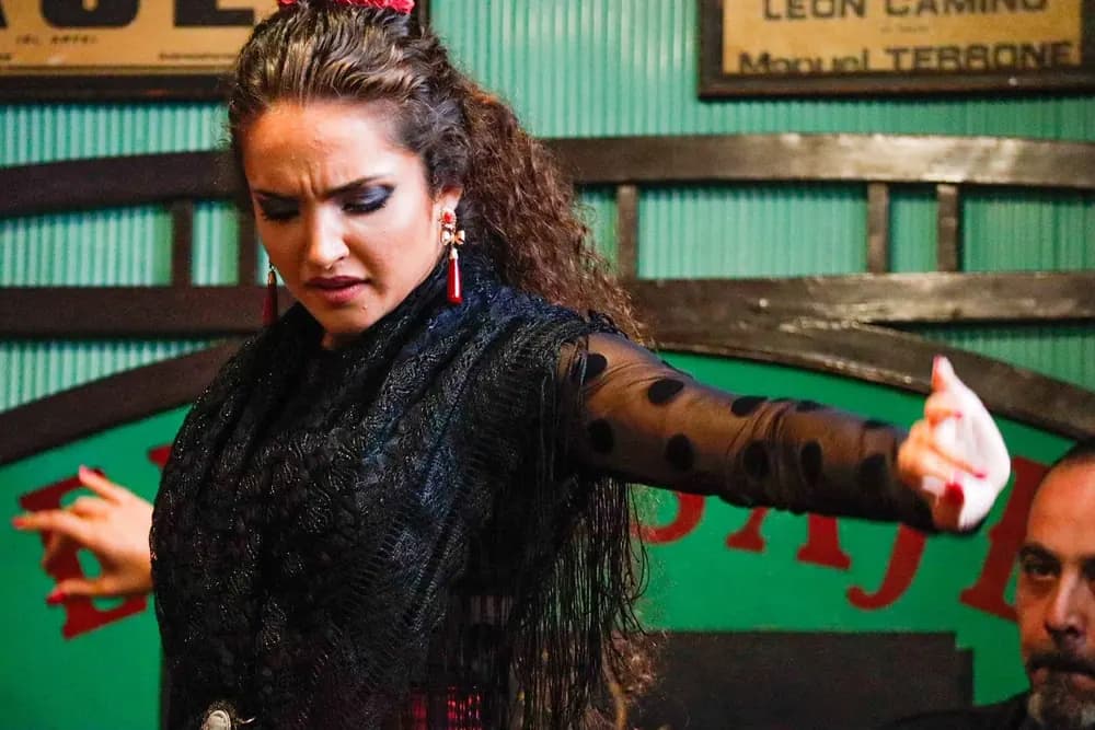 Cuadro Flamenco Eugenia Jiménez