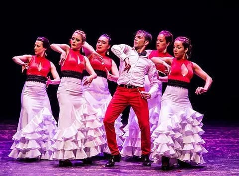 Desafío Flamenco