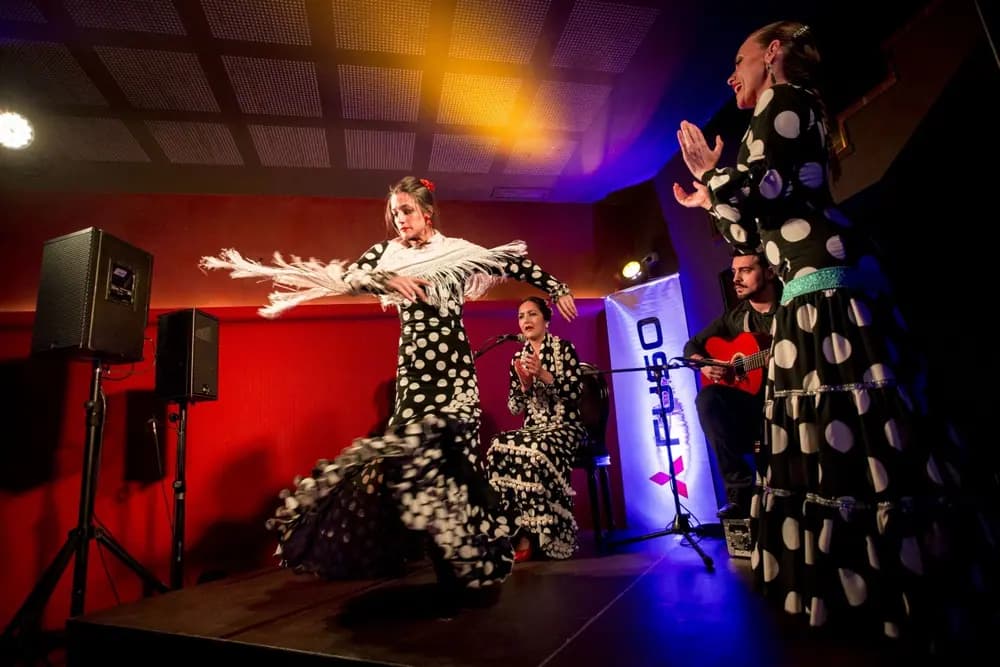 Flamenco Dorao