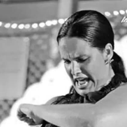 Flamenco Jakaranda