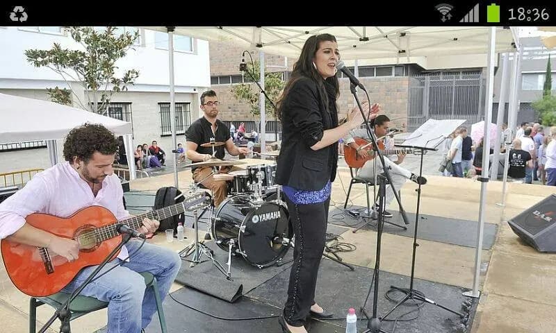 Flamenco kon-fusión