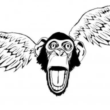 Flying Chimpas