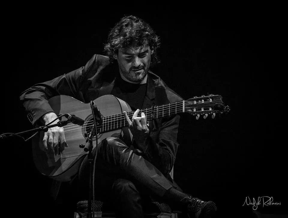Guitarra flamenca