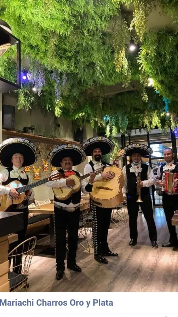 Mariachis Charros Oro y Plata