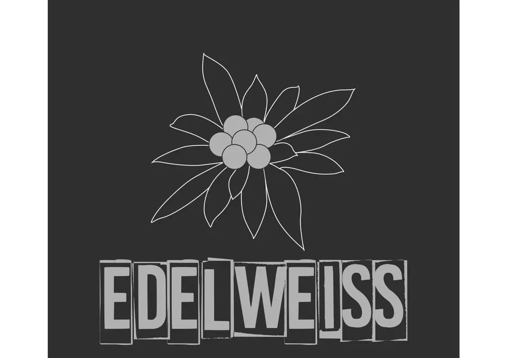 Orquesta Edelweiss