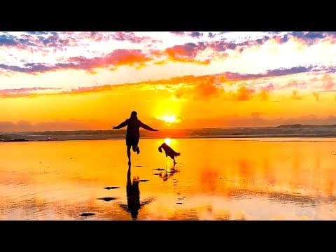 Bombai - Festival (Lyric Video)