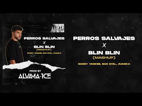 Perros Salvajes x Blin Blin (Alvama Ice Mashup) [Daddy Yankee, Bad Gyal, Juanka]