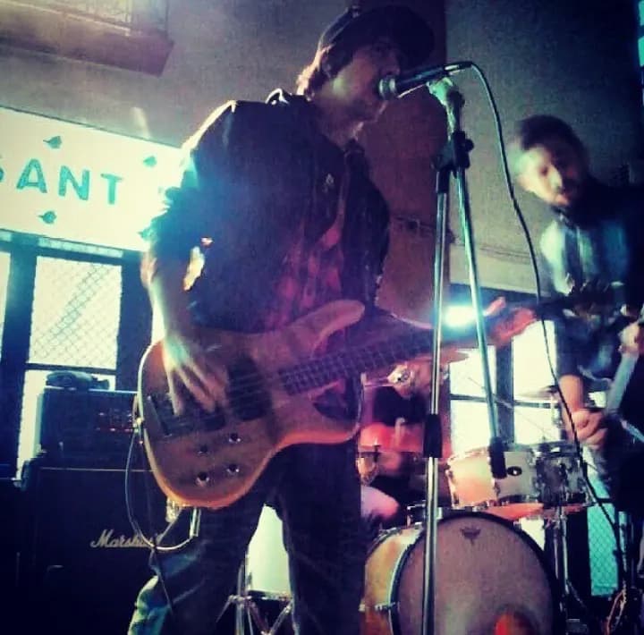 Ace Monkey Band