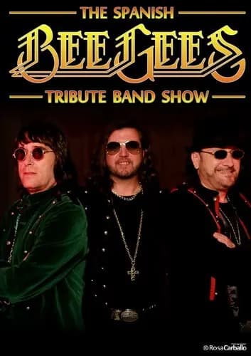 Bee Gees Tribute
