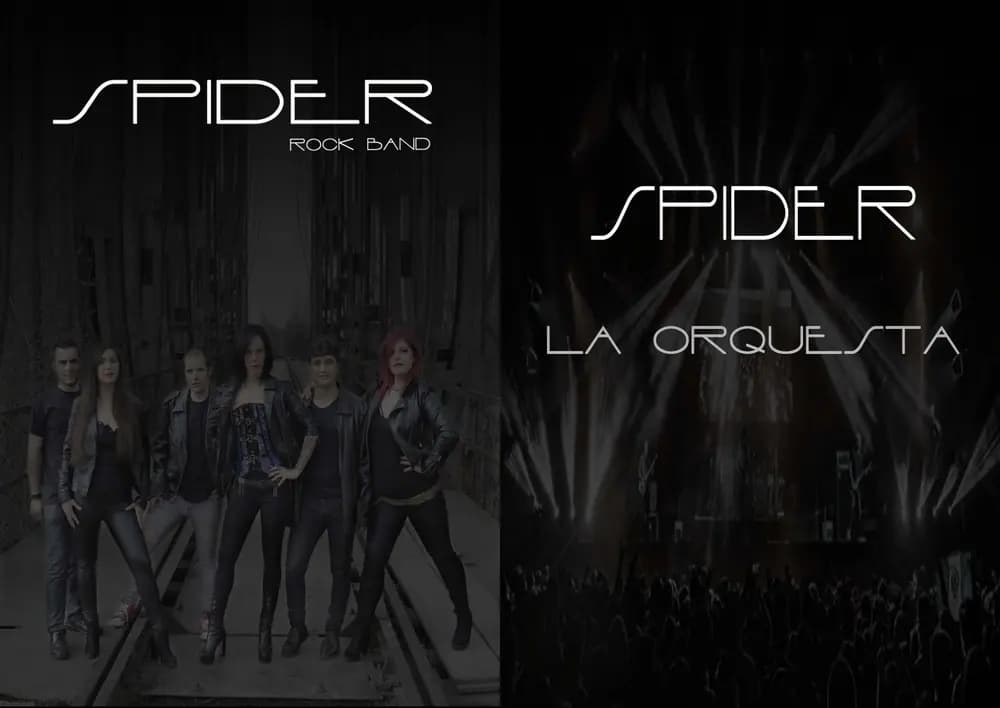 Spider